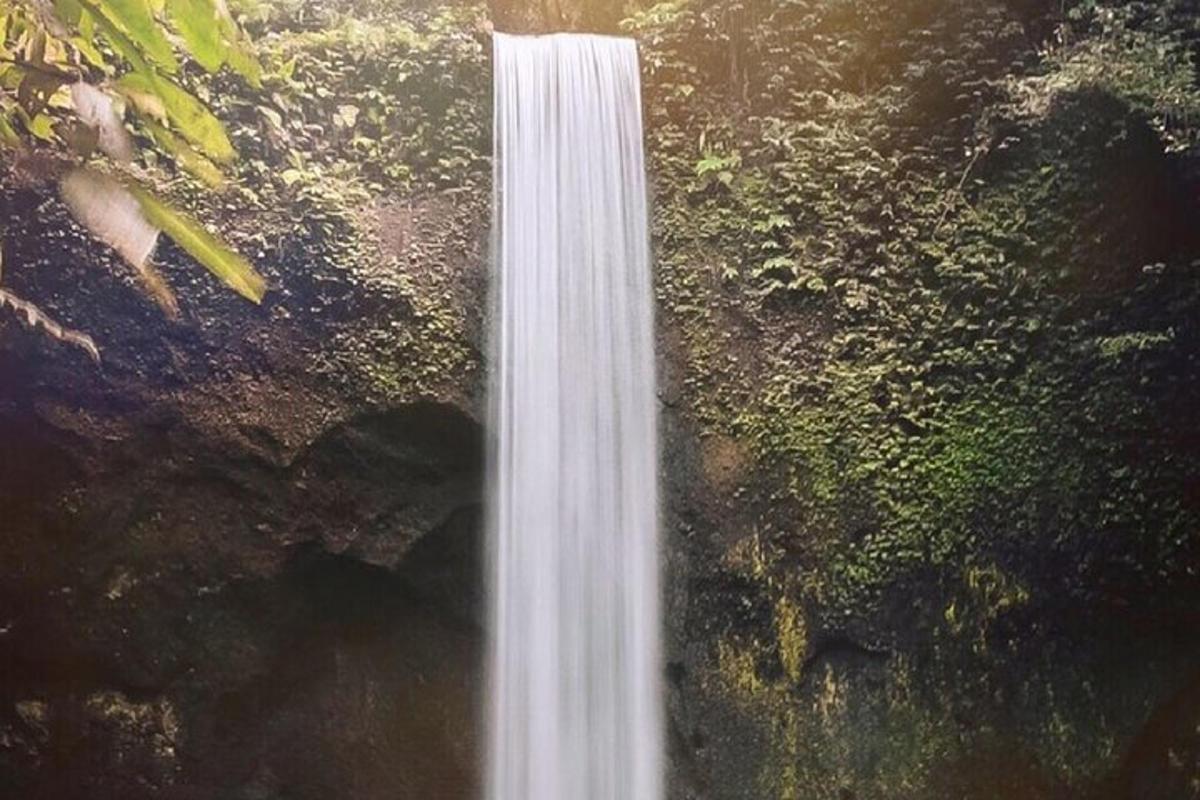 a waterfall in the middle of a forest