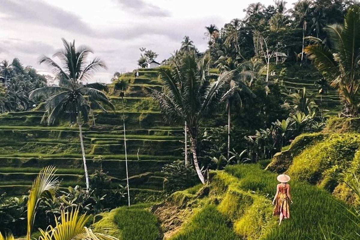 a woman standing on a hill looking at a rice field