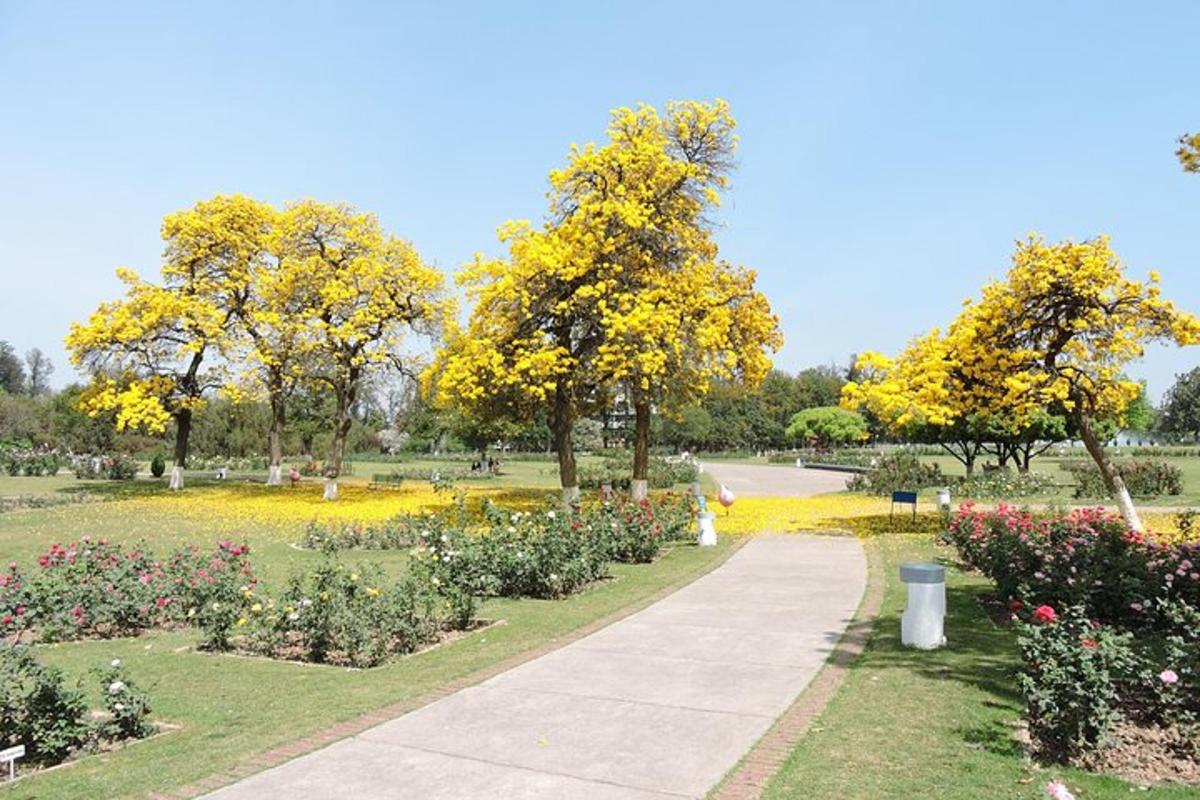 a path in a park with flowers and trees