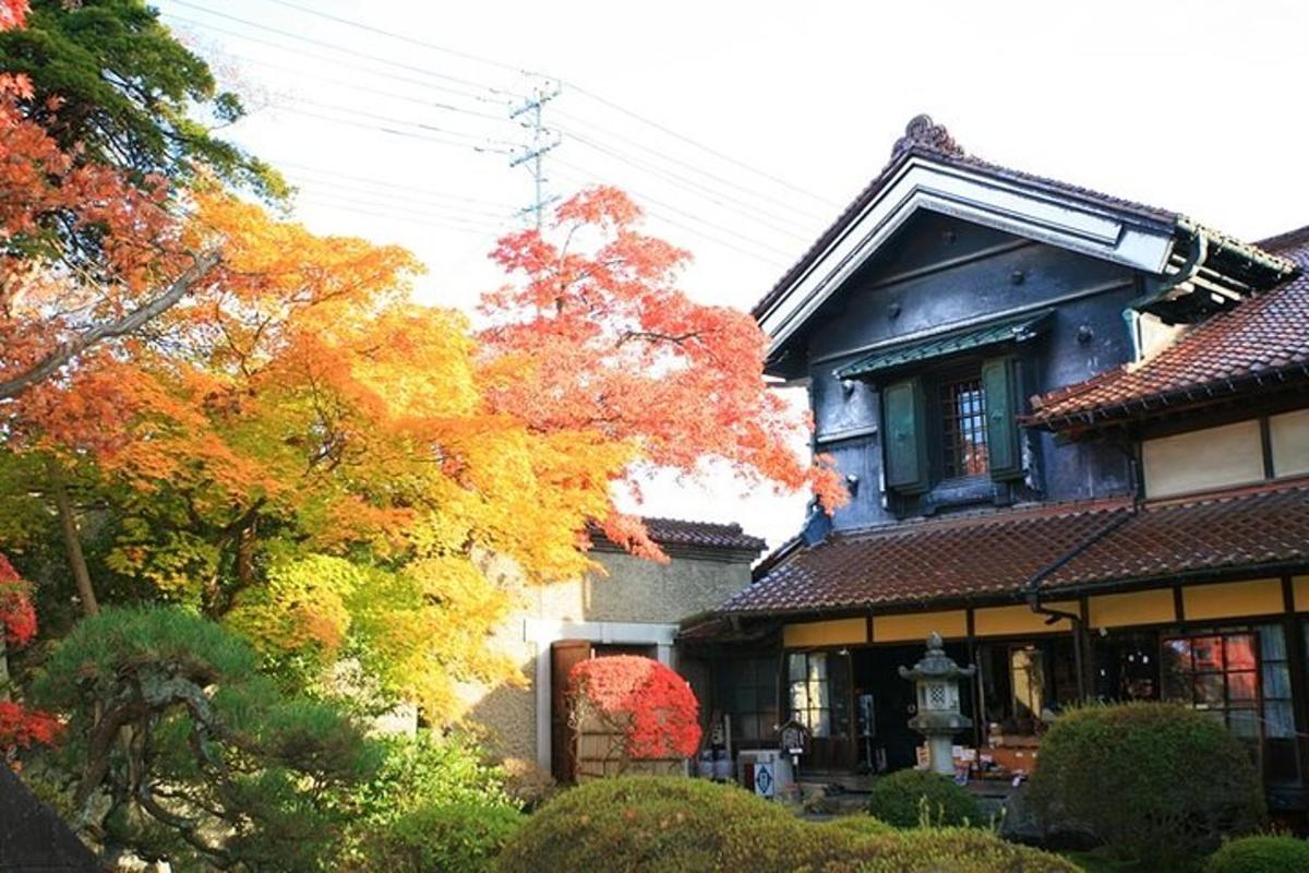 a house with colorful trees in front of it