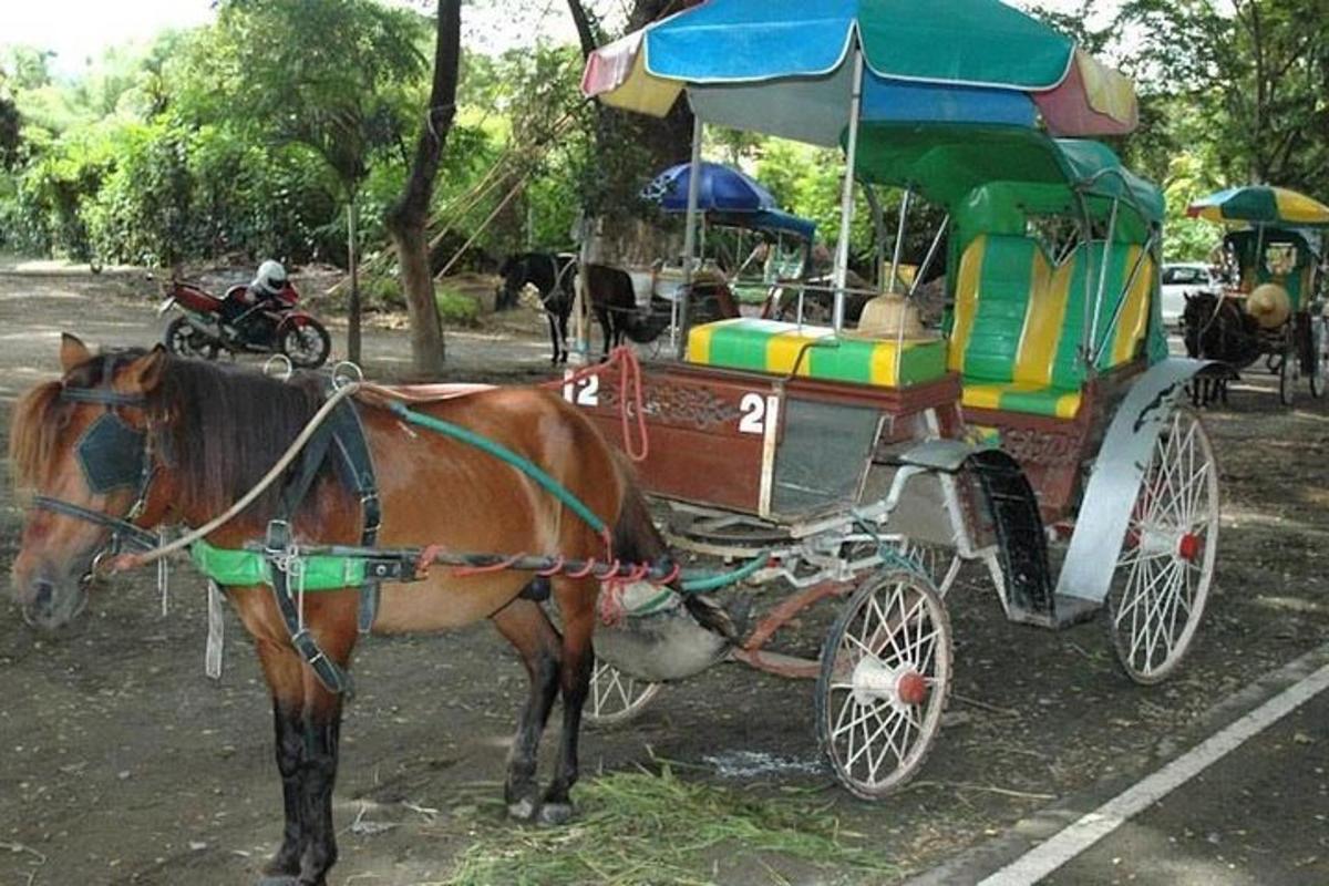 色鮮やかな馬車を引く茶色の馬