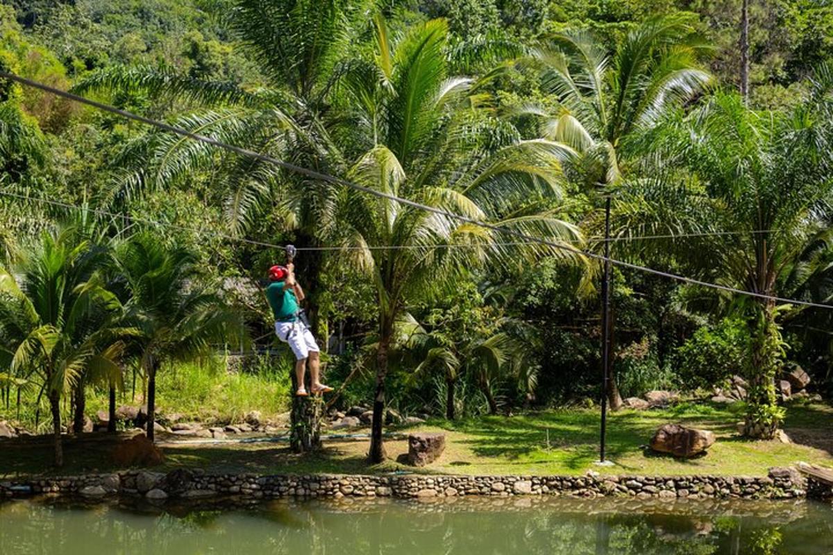 một người trên đường trượt zipline trước những cây cọ