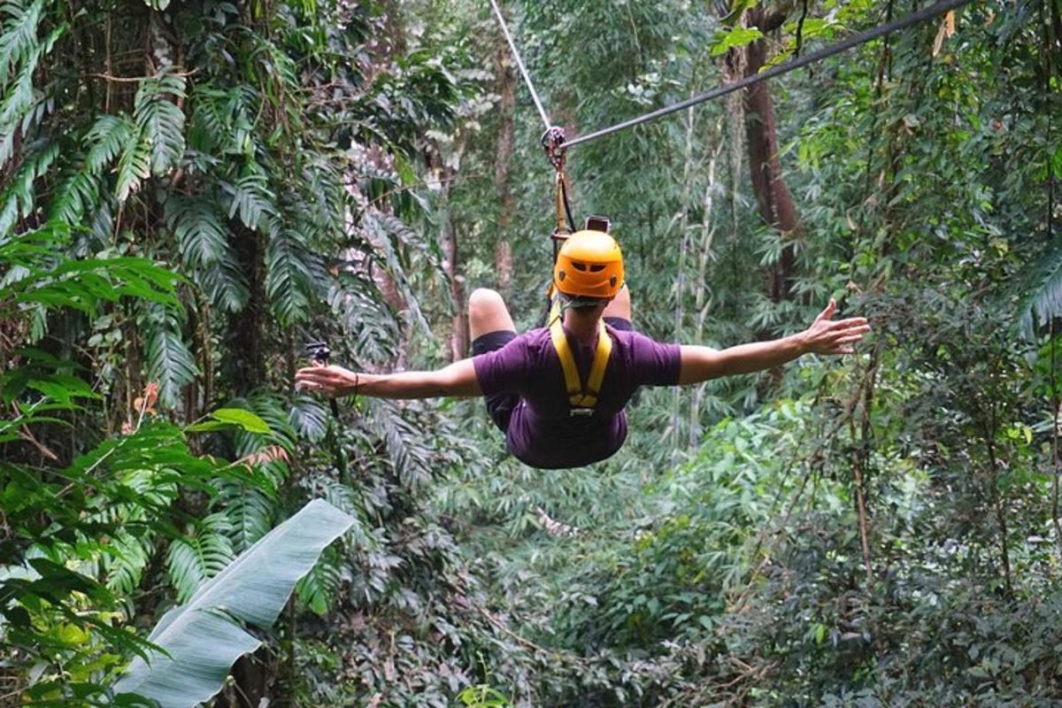 una persona su una teleferica nella giungla