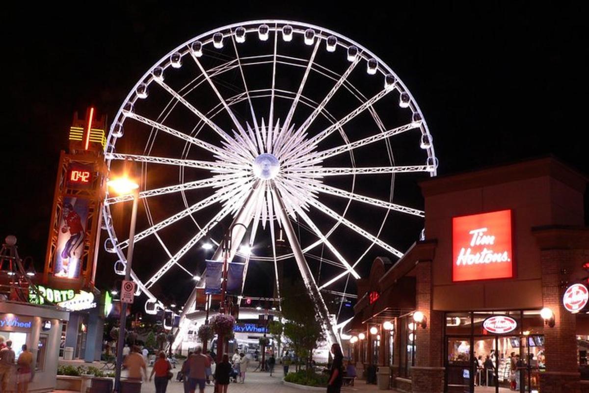 a large ferris wheel in a city at night