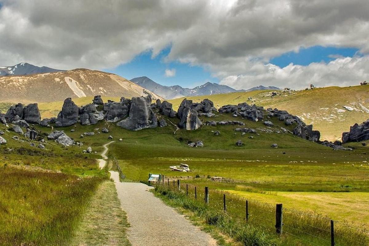 a path in a field with rocks and a mountain