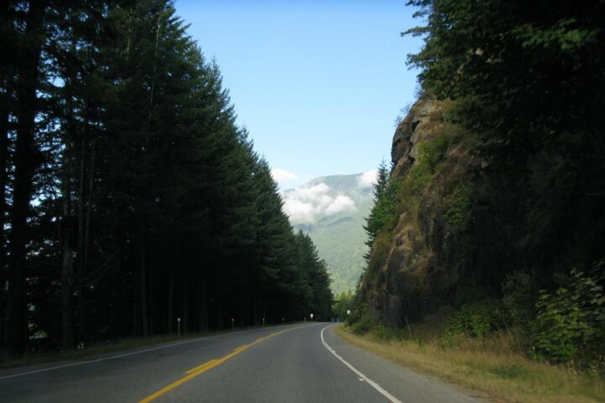 an empty road with trees on the side of a mountain