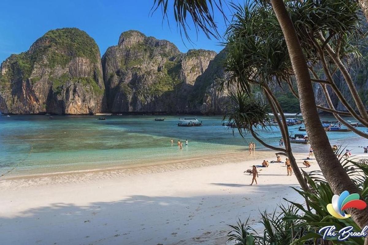 a beach with a group of people in the water