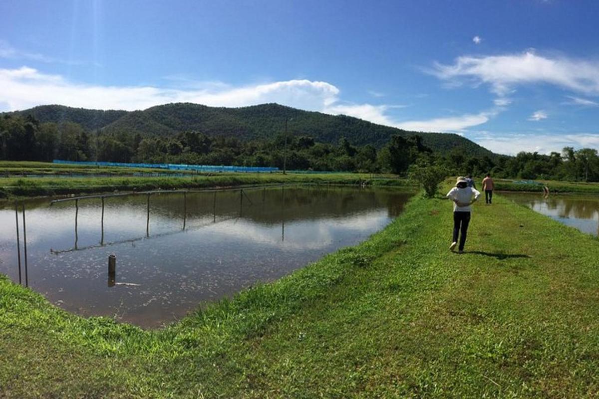 eine Person, die auf dem Gras neben einem Fluss läuft
