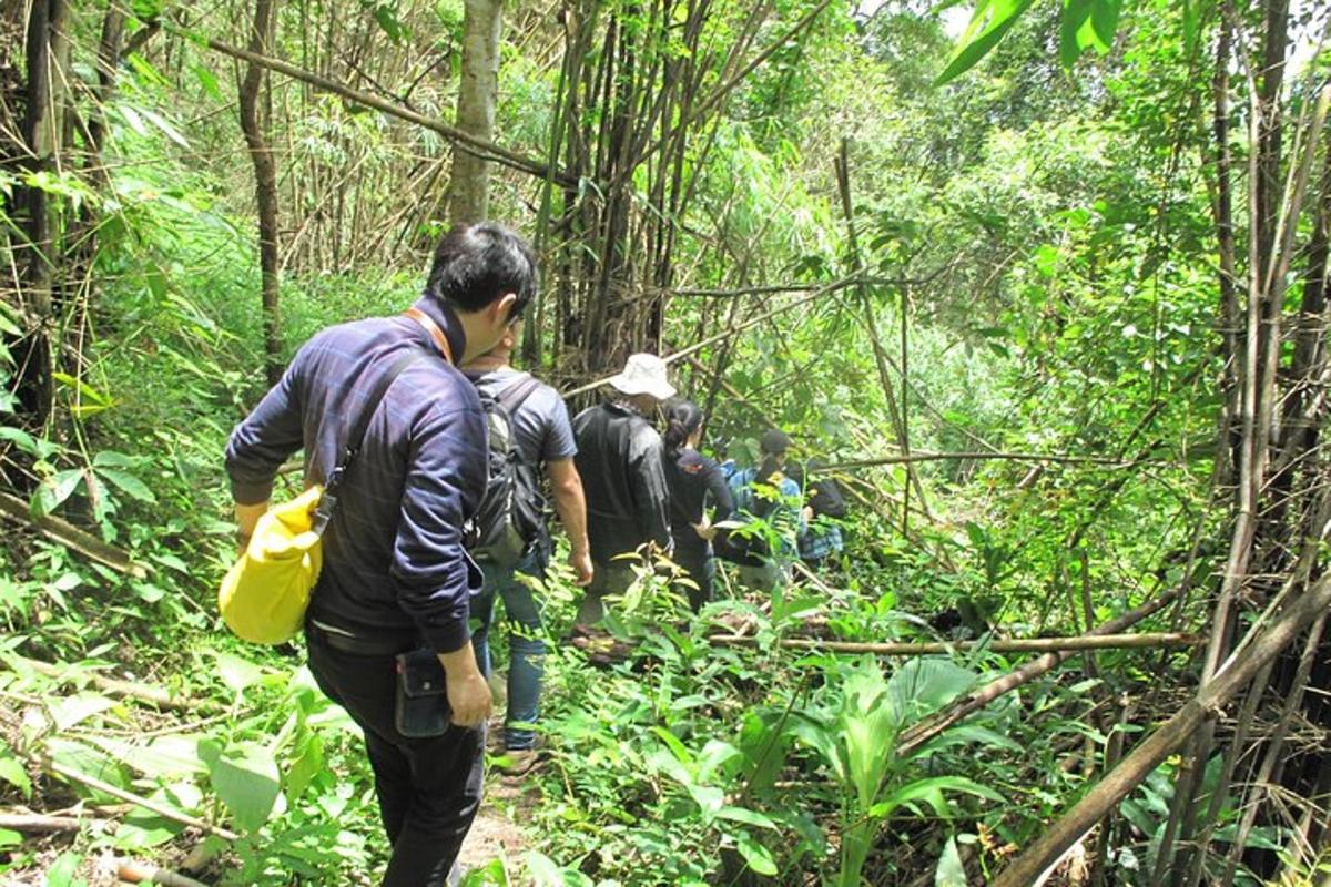 um grupo de pessoas caminhando por uma trilha na floresta