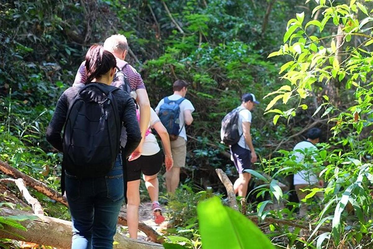um grupo de pessoas caminhando em uma trilha na selva