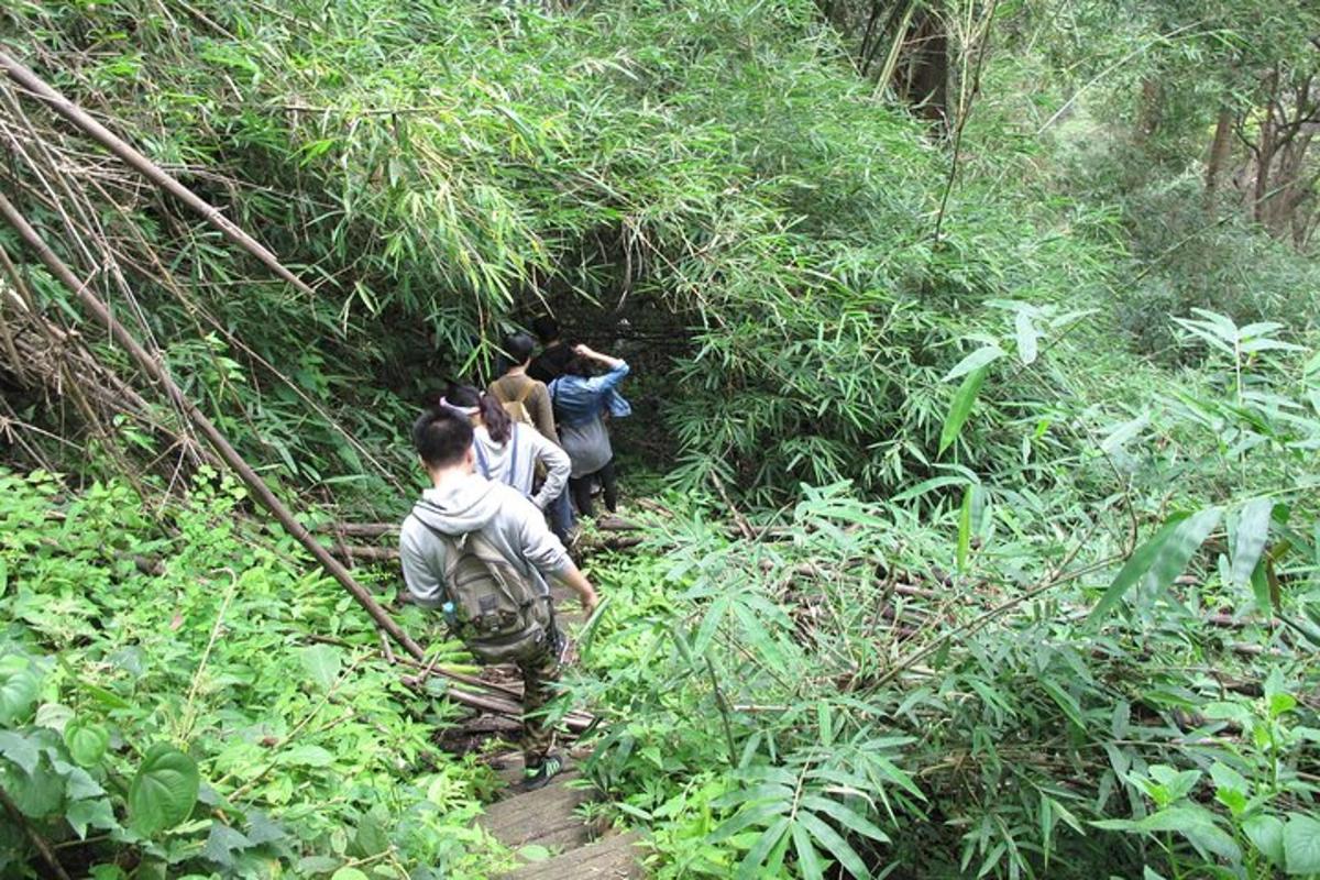 um grupo de pessoas caminhando por uma trilha na floresta