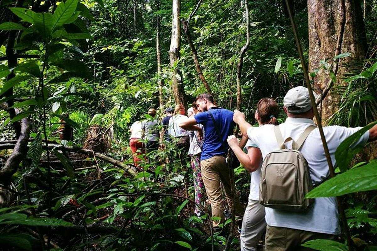 un gruppo di persone che camminano su un sentiero nella giungla