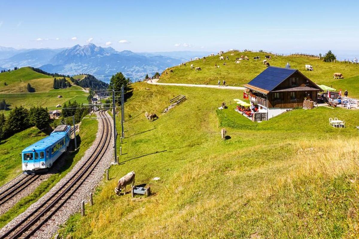 un treno sui binari su una collina con le mucche