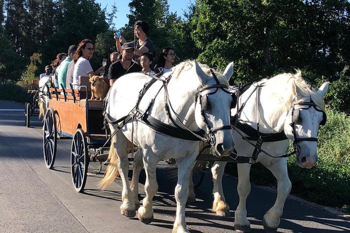 a group of people riding in a horse drawn carriage