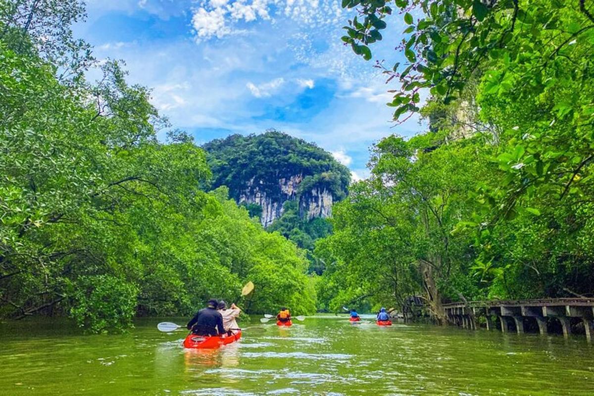 un gruppo di persone che scendono in kayak lungo un fiume