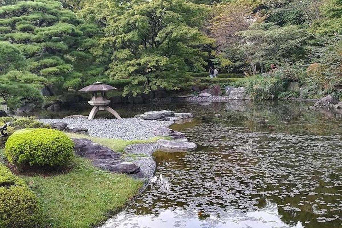 un giardino con uno stagno e un ombrellone al centro