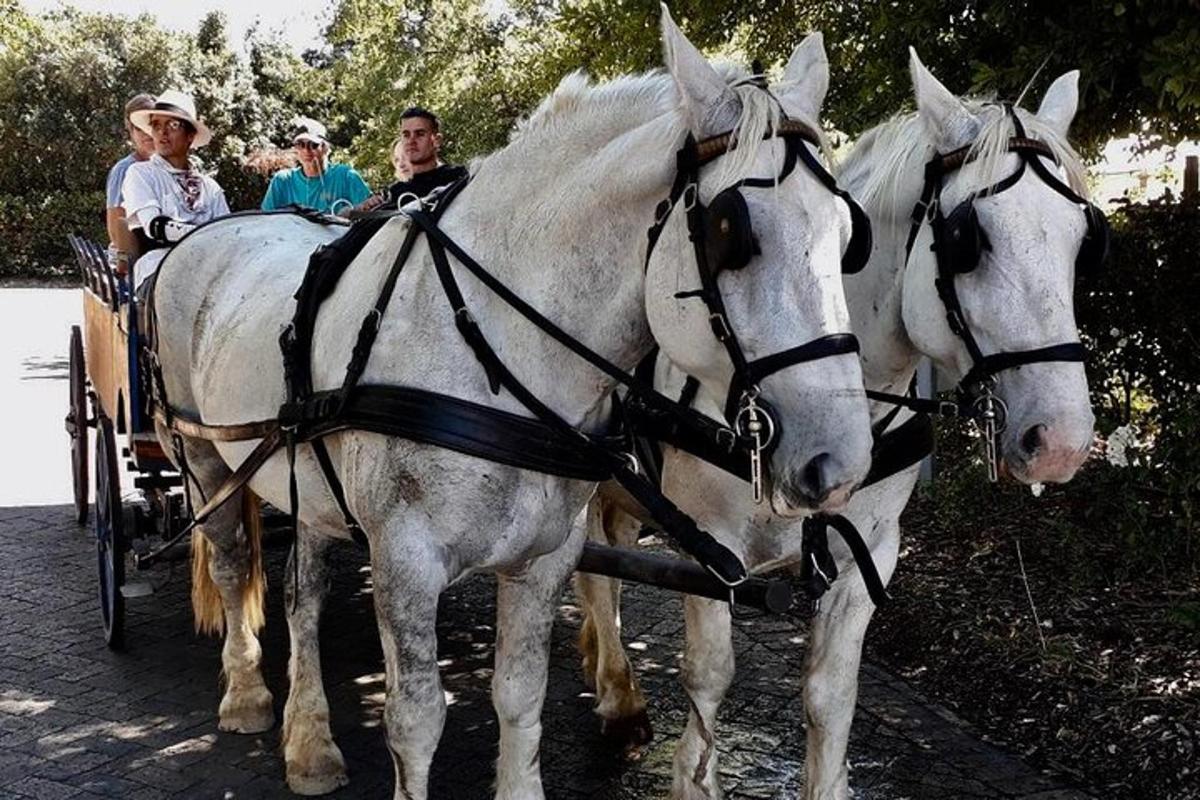 a group of people riding in a horse drawn carriage