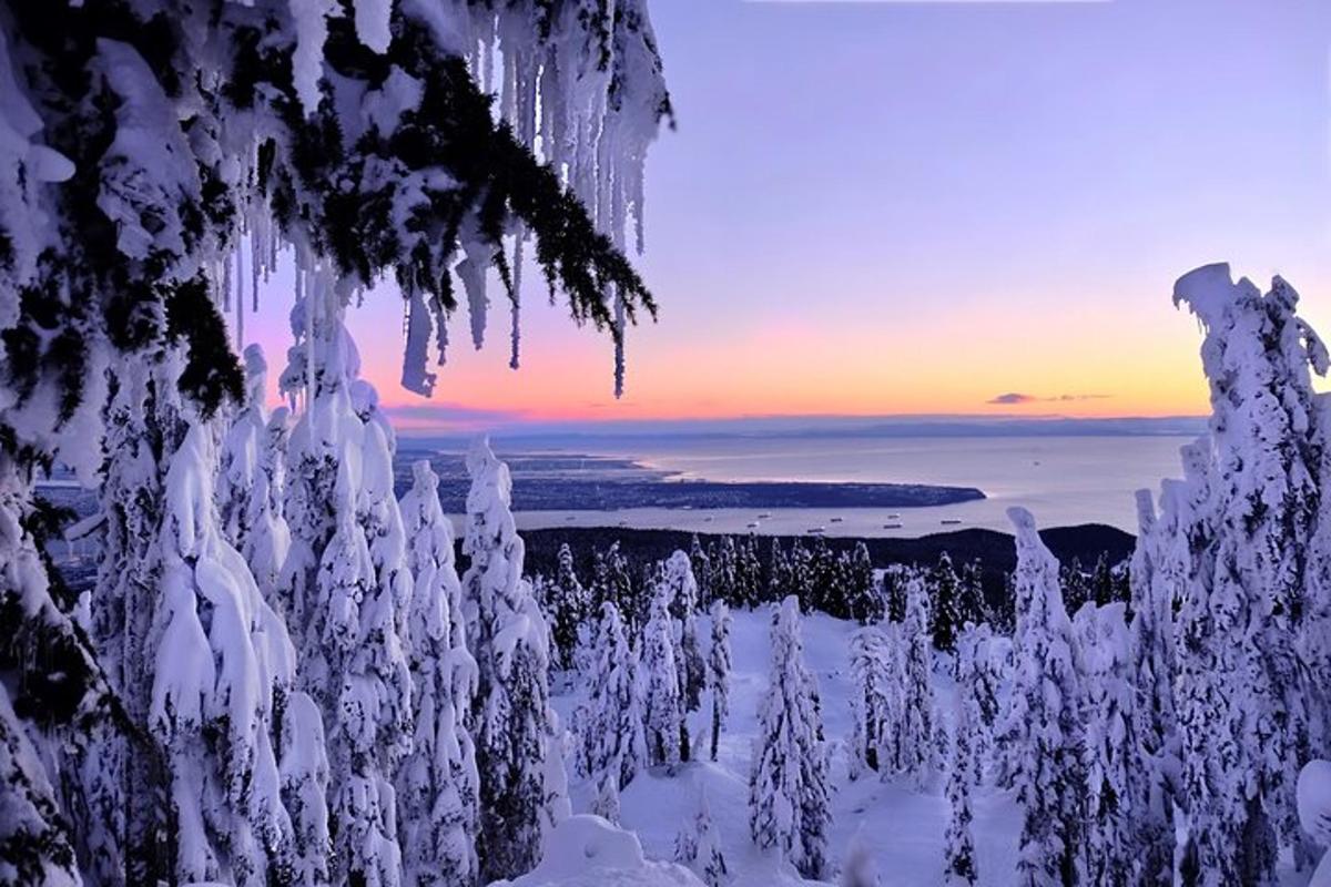 talvine päikeseloojang, kus puu küljes ripuvad jääpurikad
