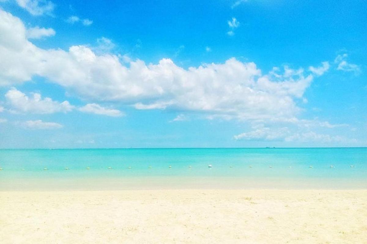 uma praia com céu azul e o oceano