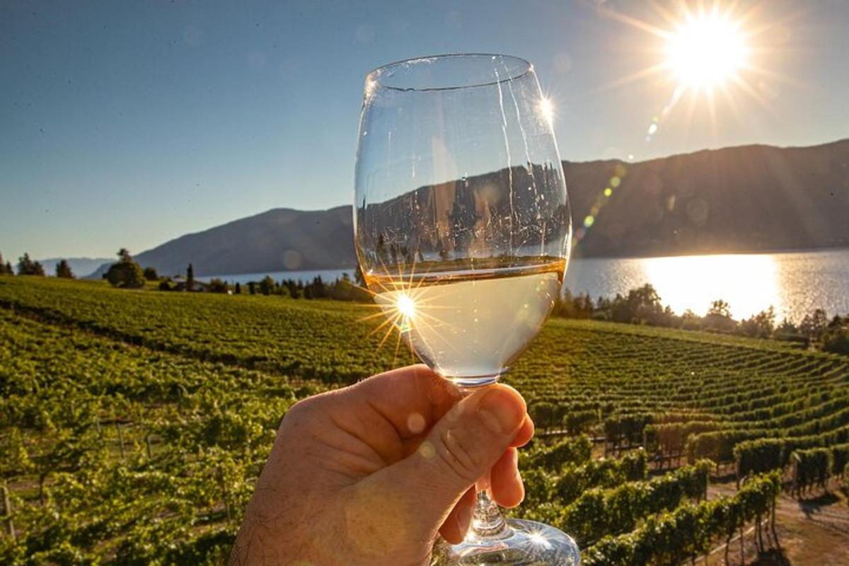 a person holding a glass of wine in front of a vineyard