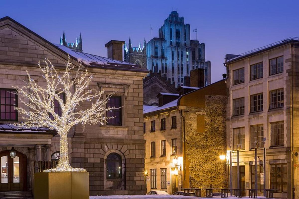 un albero di fronte a un edificio con edifici