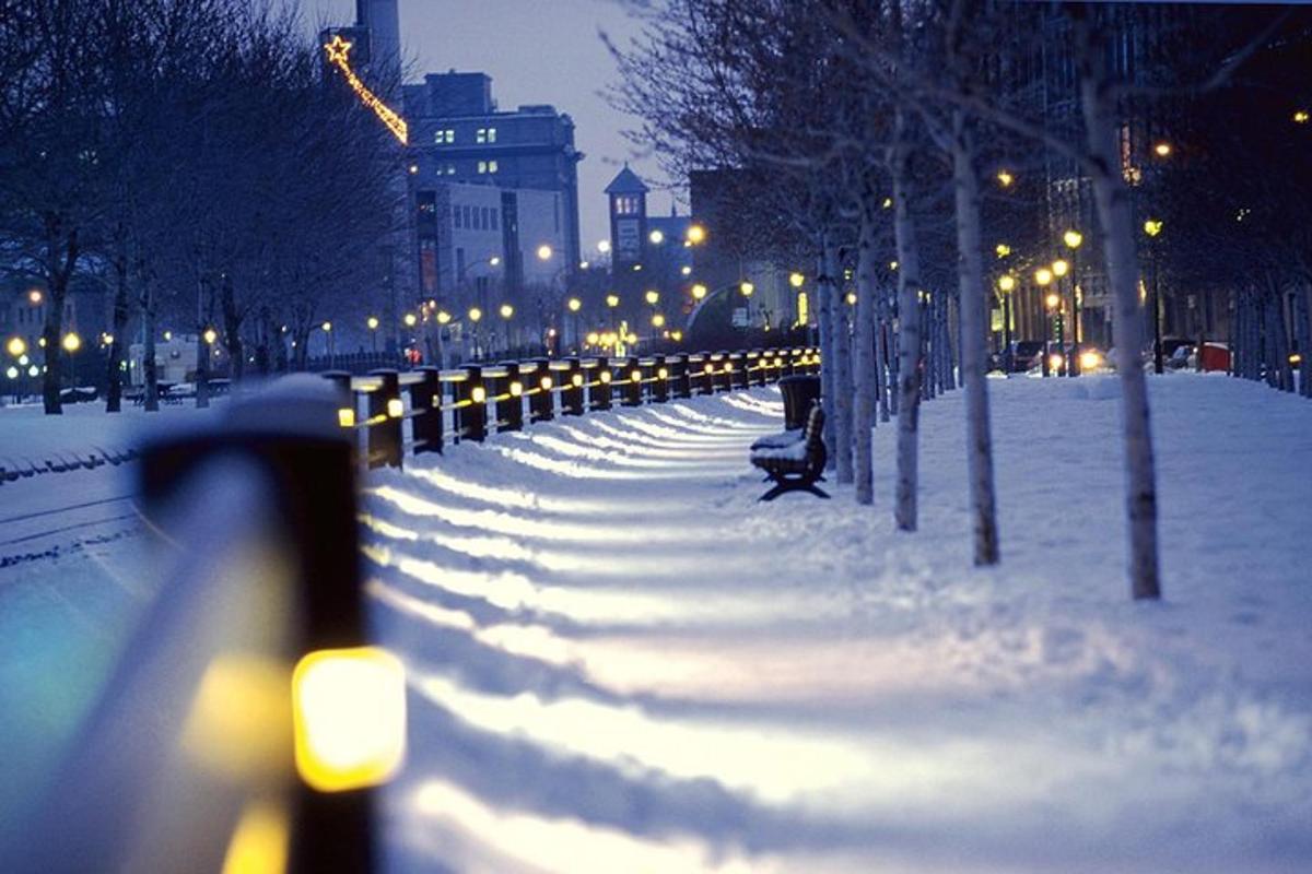 un parco coperto di neve di notte con luci