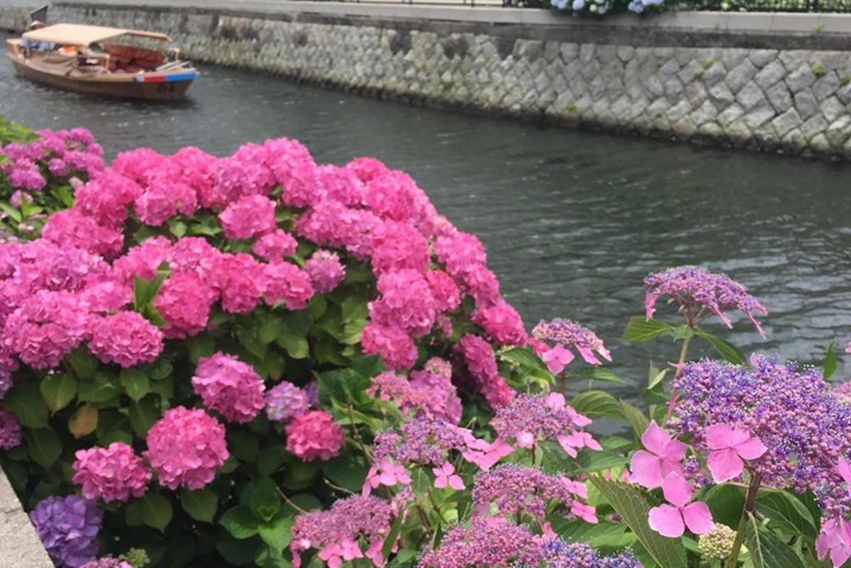 un mazzo di fiori rosa con una barca in acqua