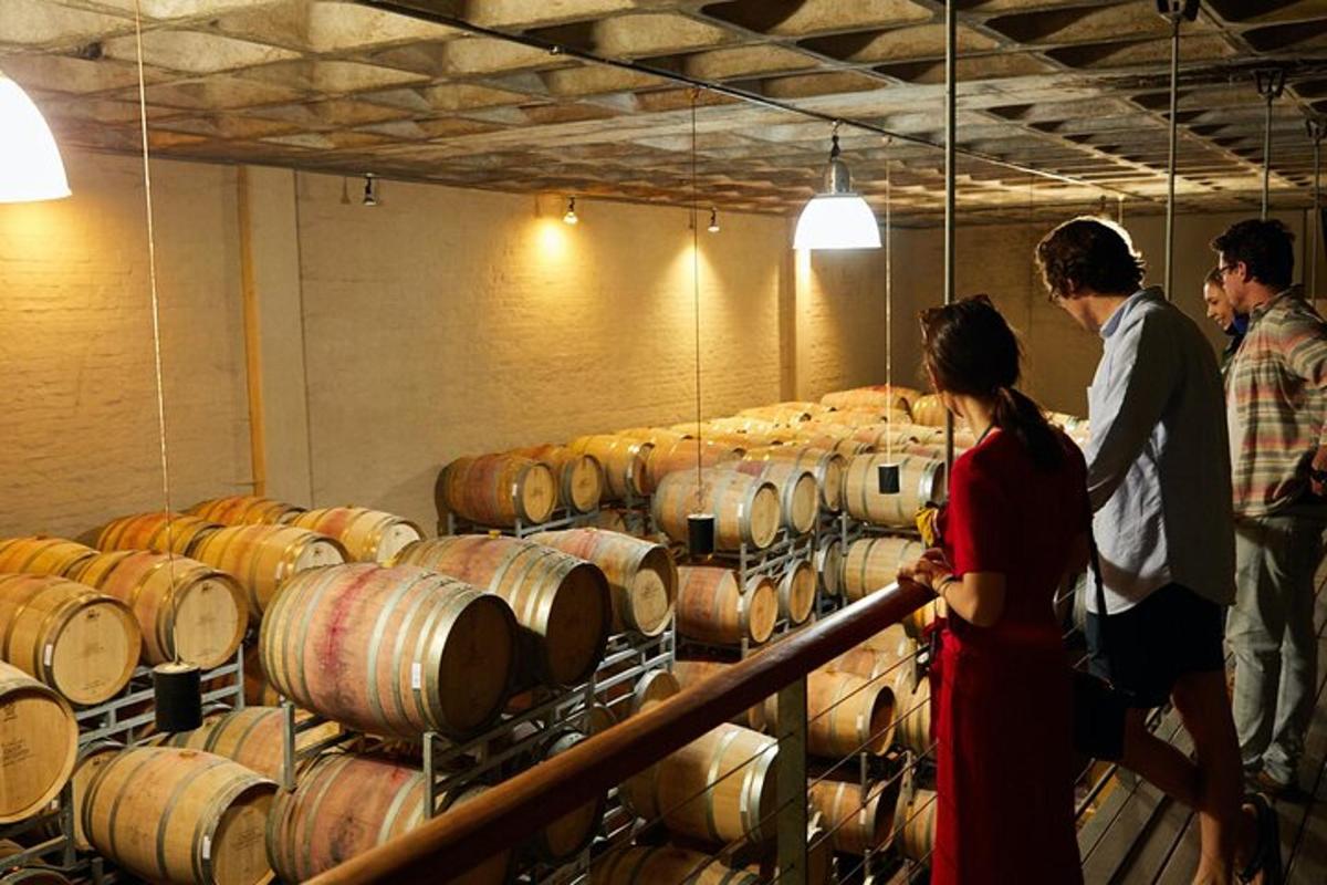 un gruppo di persone che guarda un mucchio di botti di vino