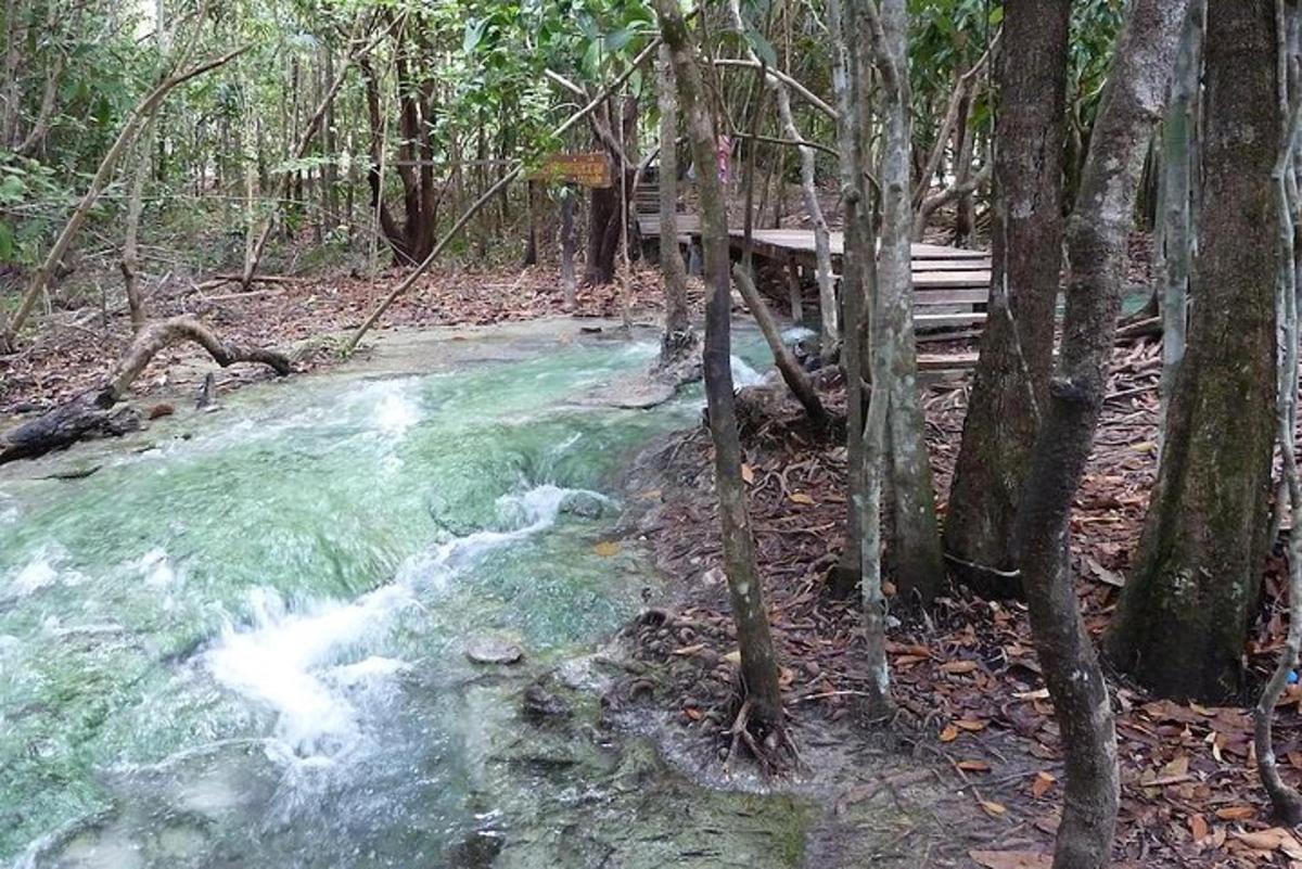 sungai di dalam hutan dengan bangku di sebelahnya