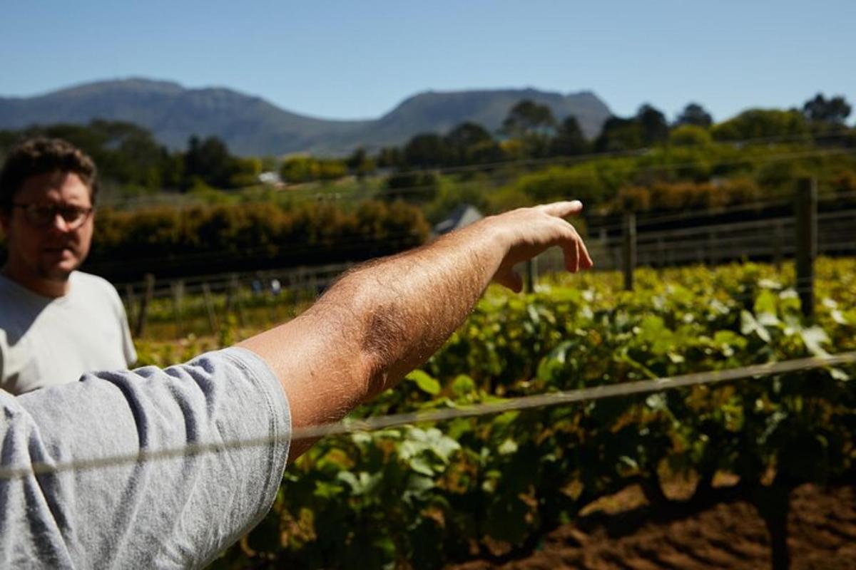 un uomo in piedi in un giardino con la mano su una recinzione