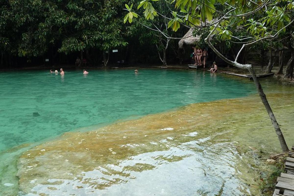 sekumpulan orang berenang di dalam kolam air