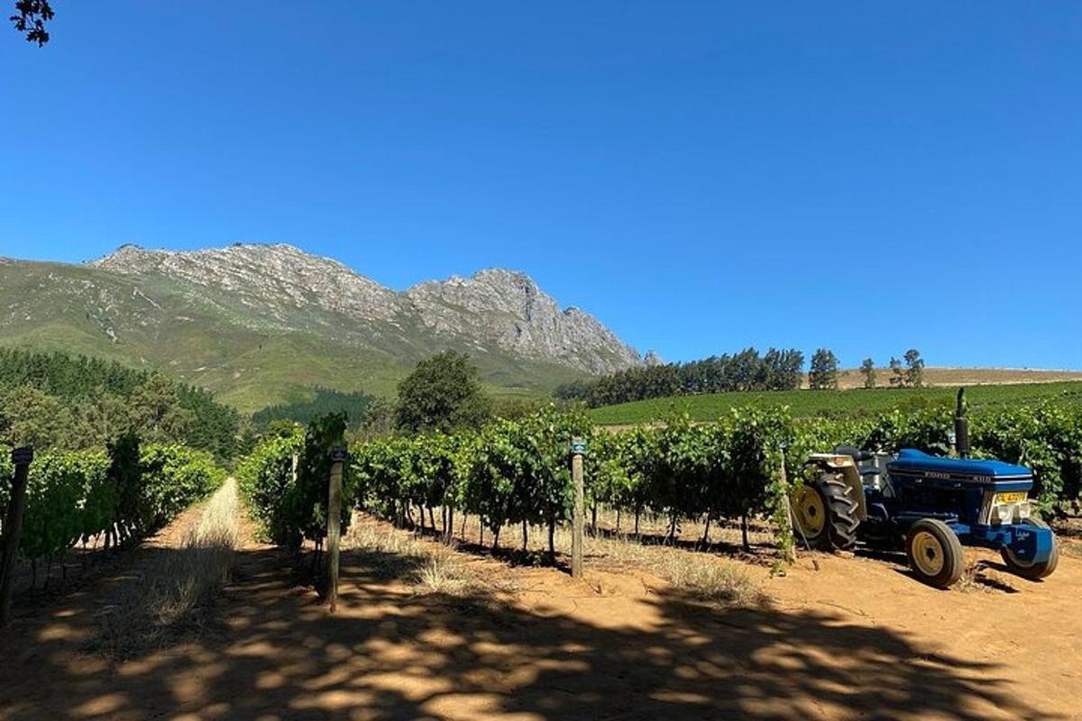 a blue tractor parked in a vineyard with mountains in the background