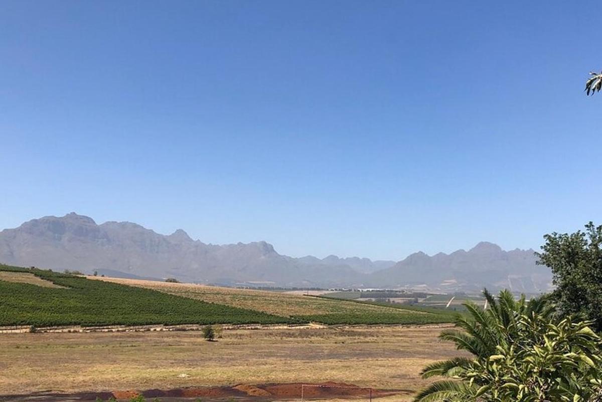 a view of a field with mountains in the background