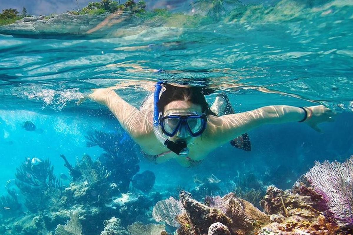 seseorang yang berenang di dalam air berhampiran terumbu karang