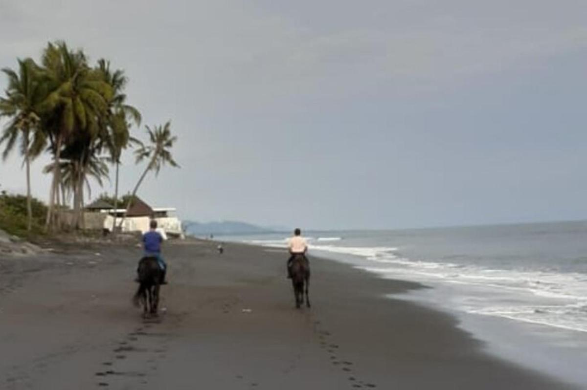 two people riding horses on the beach