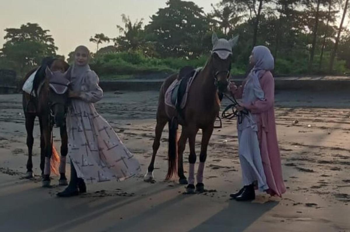 a group of people standing next to a horse on the beach