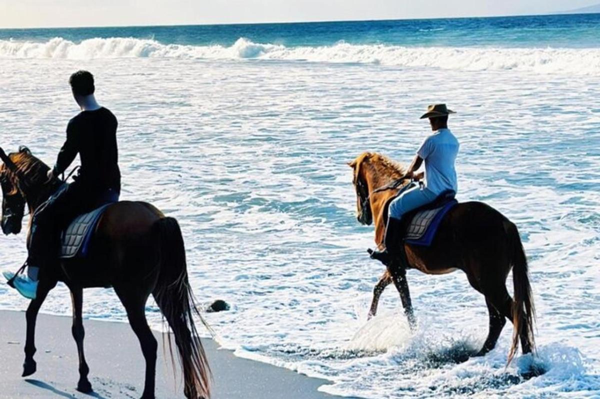 two people riding horses on the beach