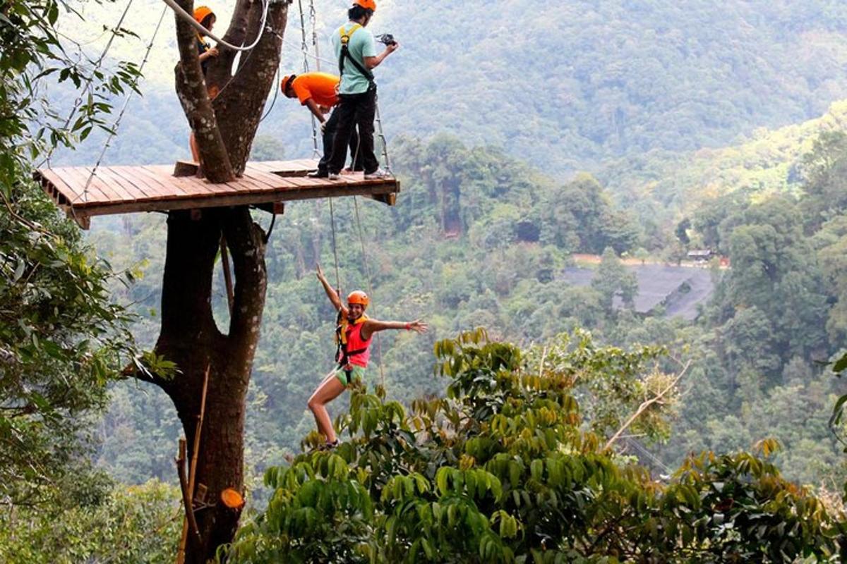 due persone su una teleferica su un albero