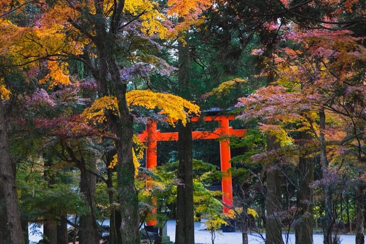an orange torii gate in a forest of trees