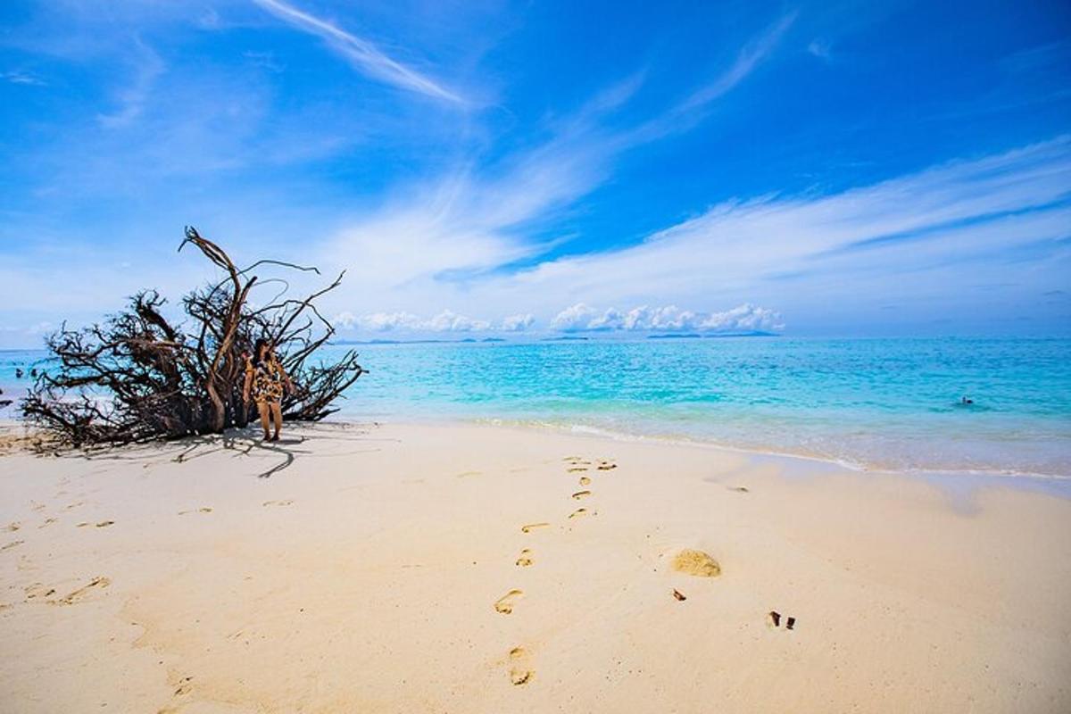 una playa con huellas en la arena y el océano