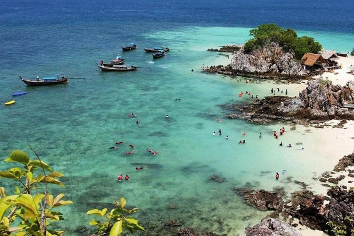 a group of people in the water at a beach