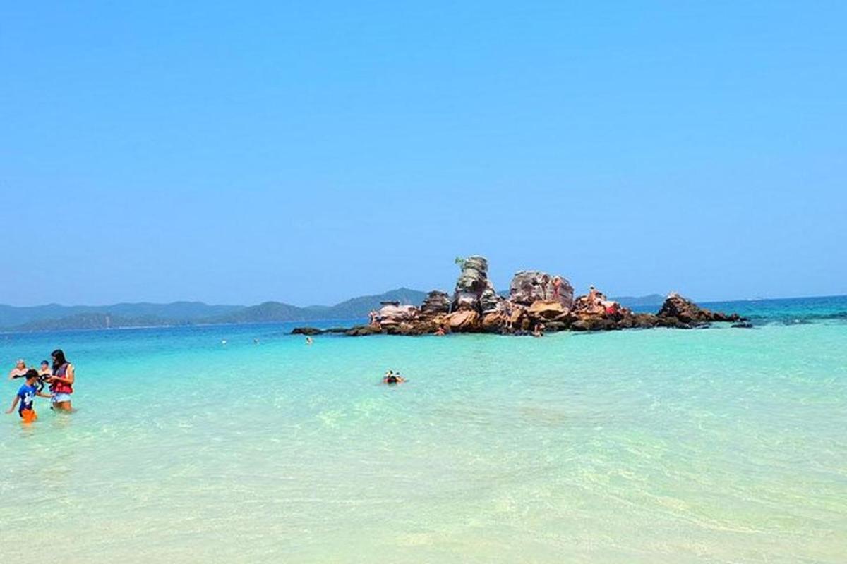 a group of people in the water at a beach