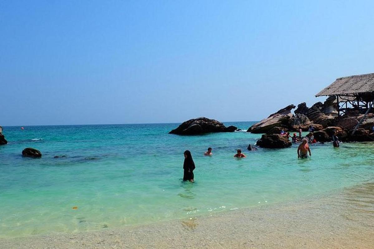 a group of people in the water at a beach