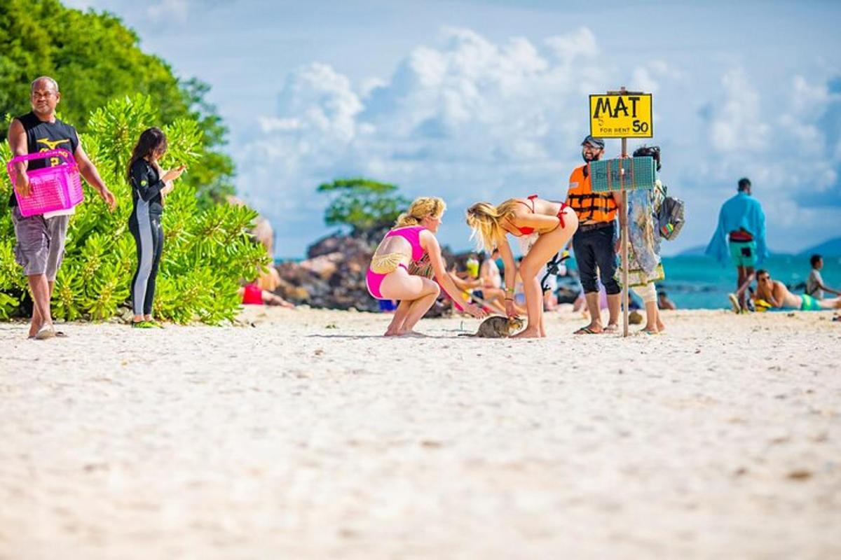 skupina ljudi, ki stojijo na plaži