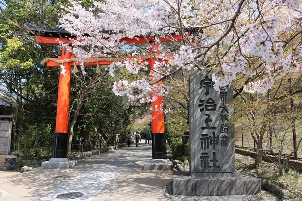 pintu gerbang torii dengan bunga sakura di taman