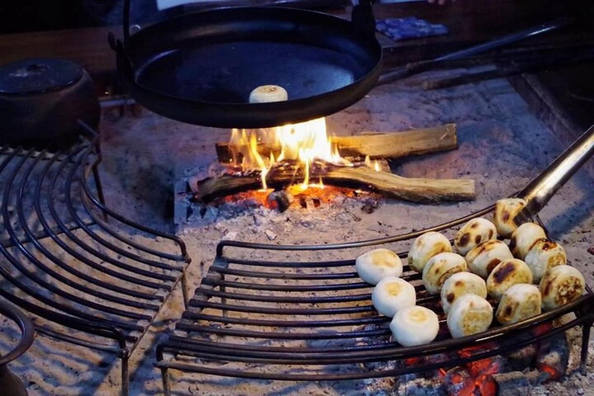 grill, millel on hunnik toitu