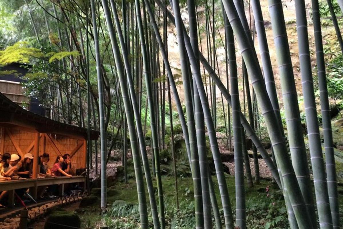 Un grupo de personas viajando en un tren a través de un bosque de bambú.