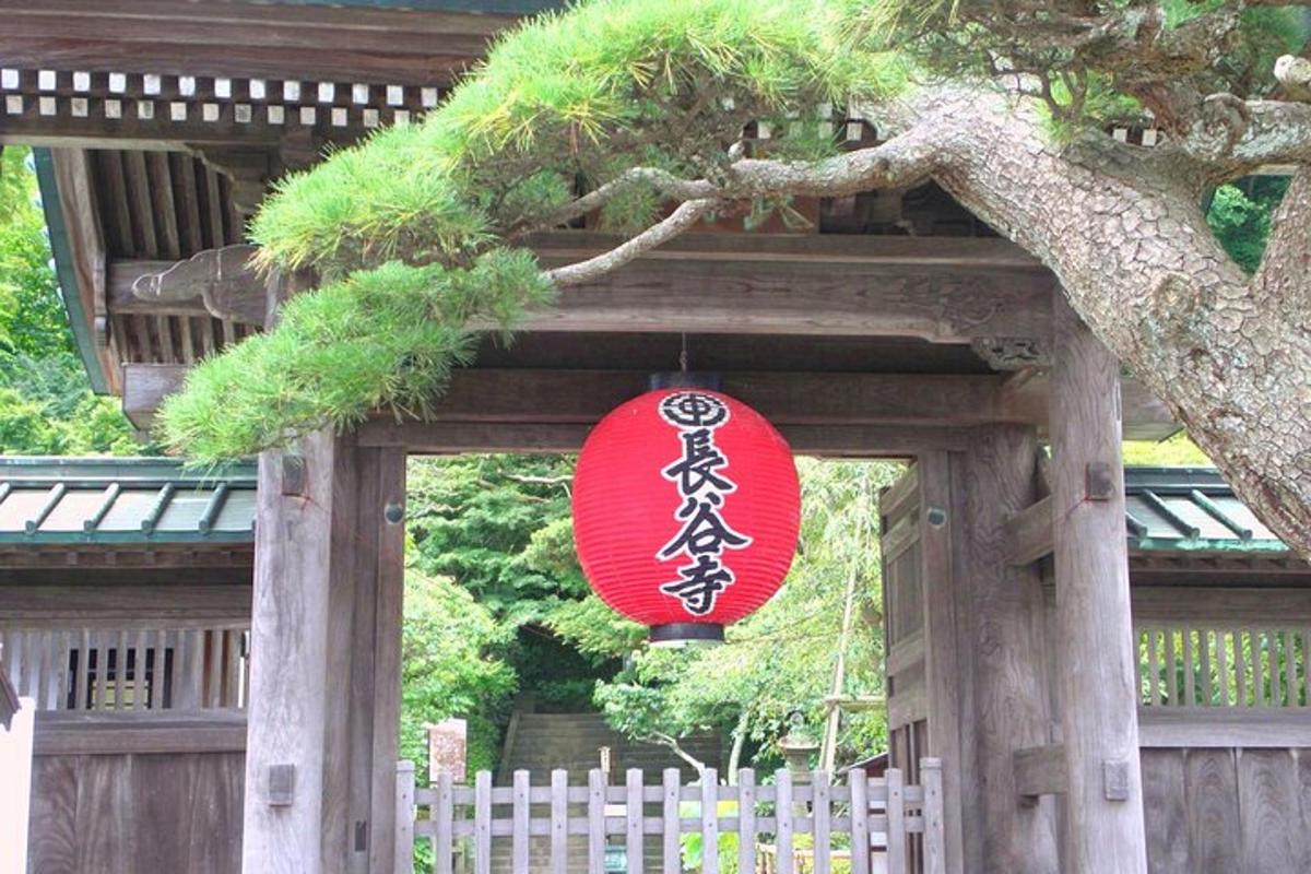Un cartel rojo colgado de un árbol junto a una valla.