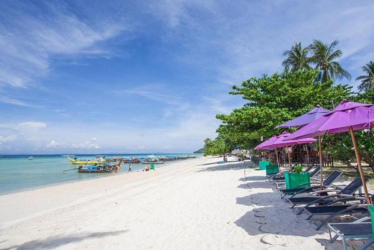 plaža z vijoličnimi senčniki in stoli ter ocean