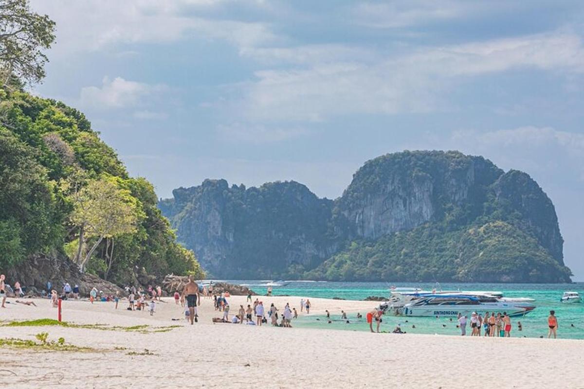 un gruppo di persone su una spiaggia con montagne